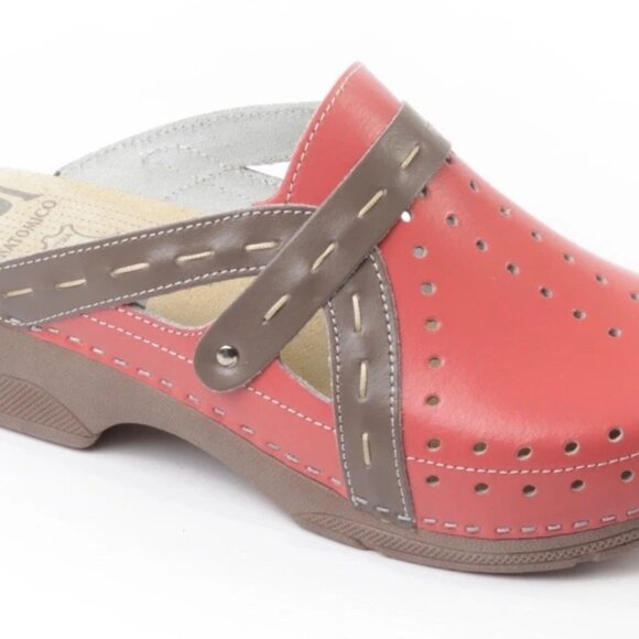 LEDI Shoes - LEDI 311 Anatomic Clogs – European Leather Comfort, Size 8